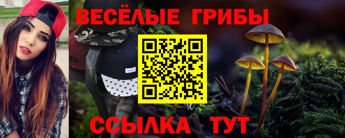 Галлюциногенные грибы мицелий Гусь-Хрустальный