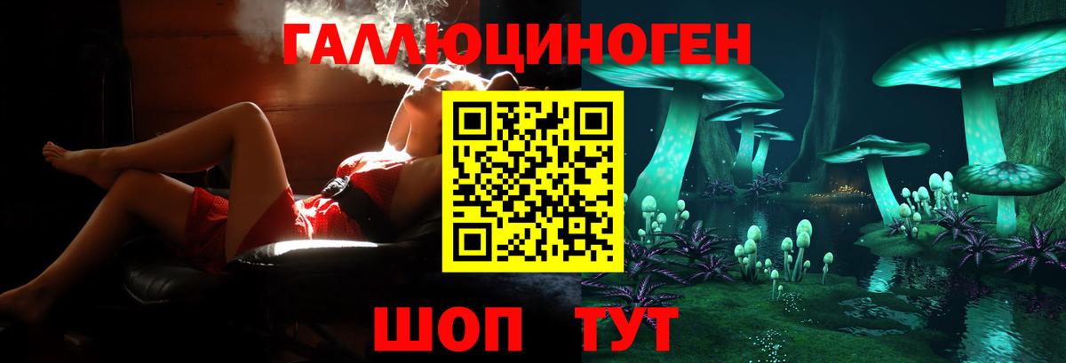 Псилоцибиновые грибы Psilocybe  наркотики  Гусь-Хрустальный  Вход с VPN 